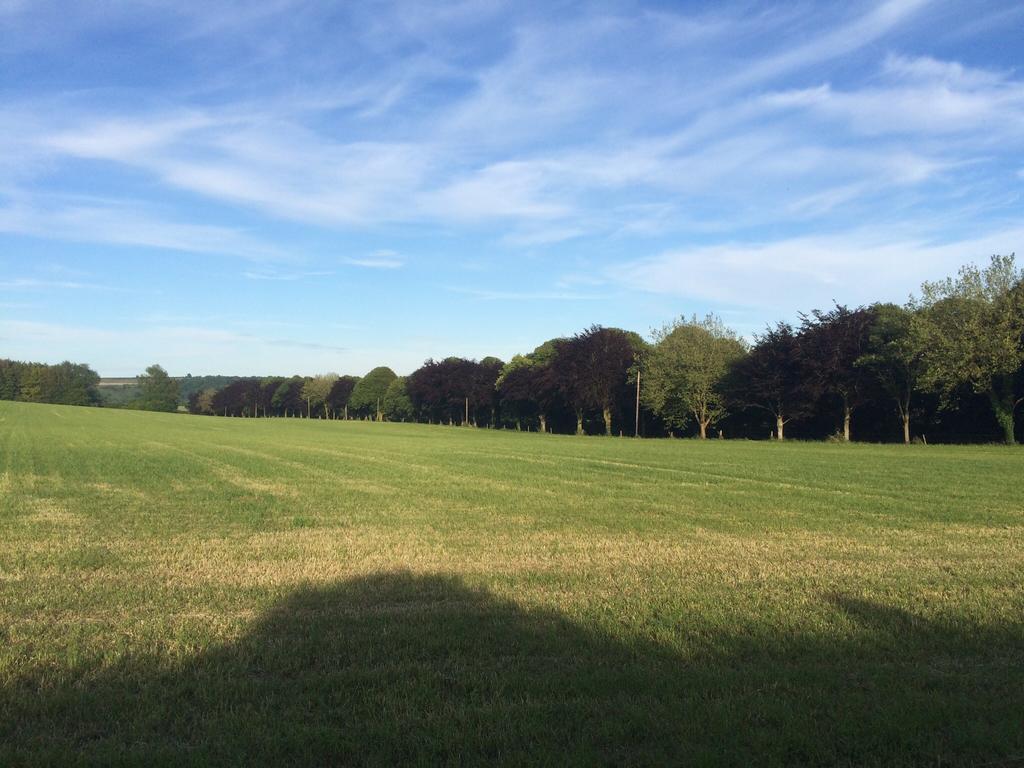 Higher Melcombe Manor Ansty (Dorset)