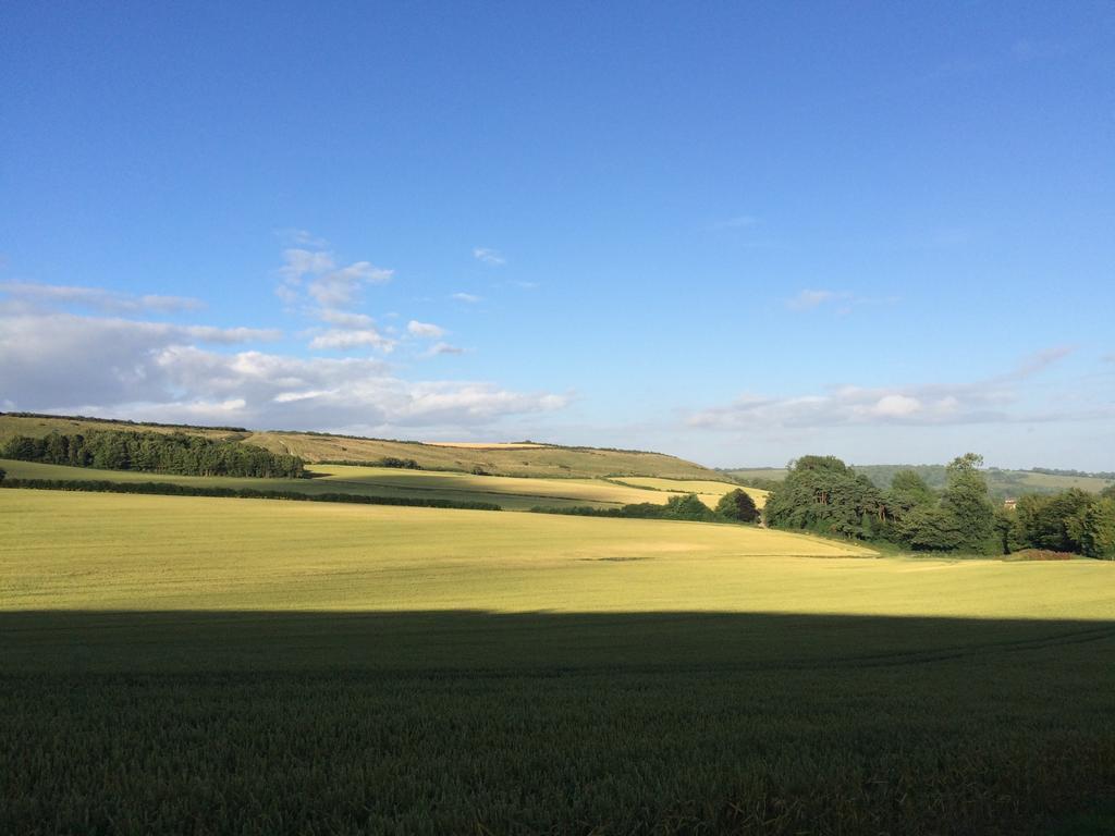 Higher Melcombe Manor * Ansty (Dorset)