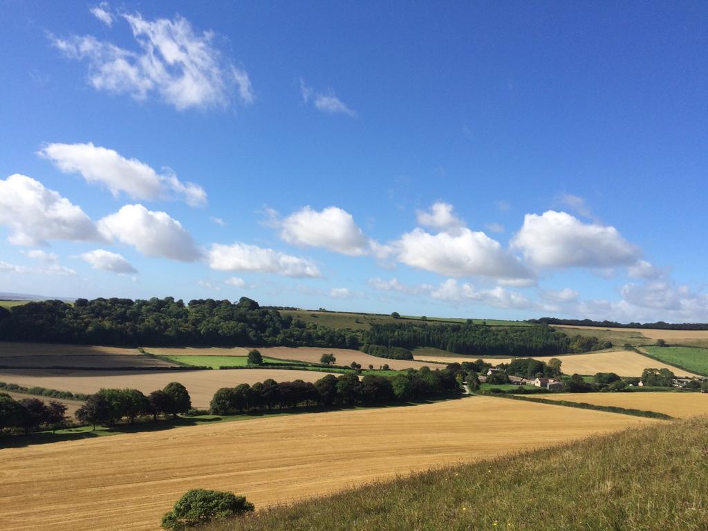 Bed & Breakfast Higher Melcombe Manor *